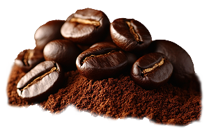 Coffee Philosophy Icon