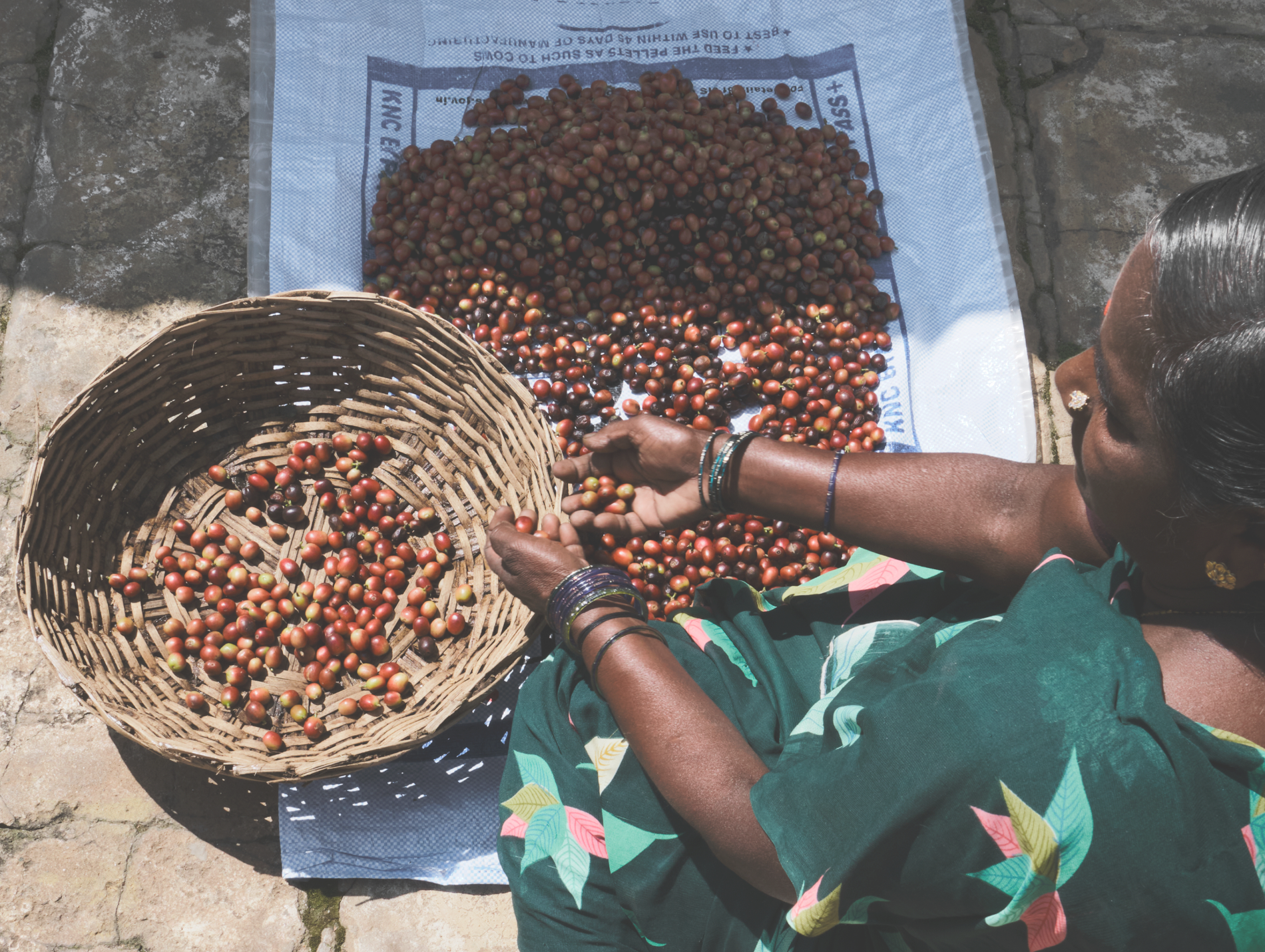 Sorting Coffee Beans