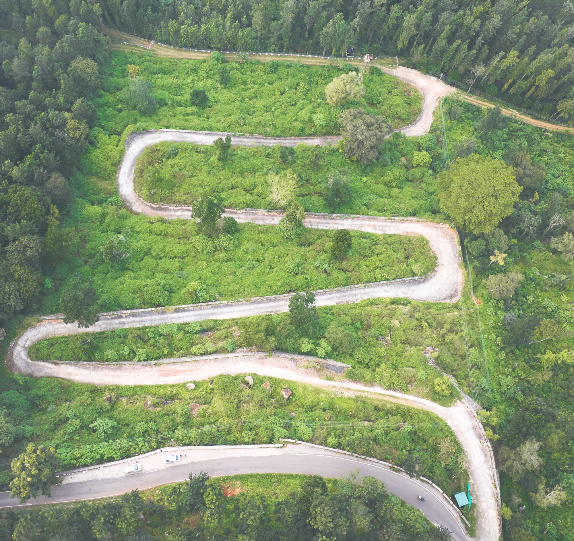 Winding Road in Coffee Estate